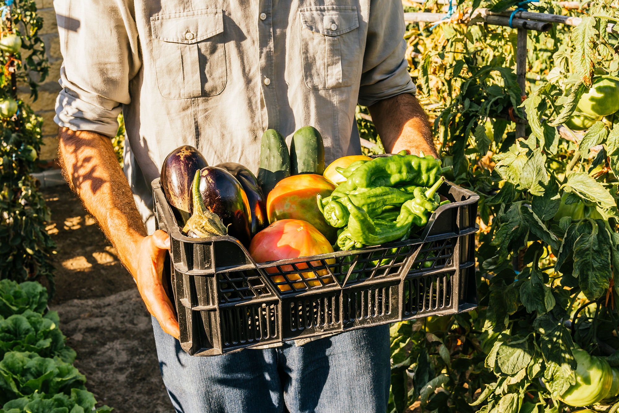Долгожители поделились секретами питания, которые помогли им дожить до 100 лет